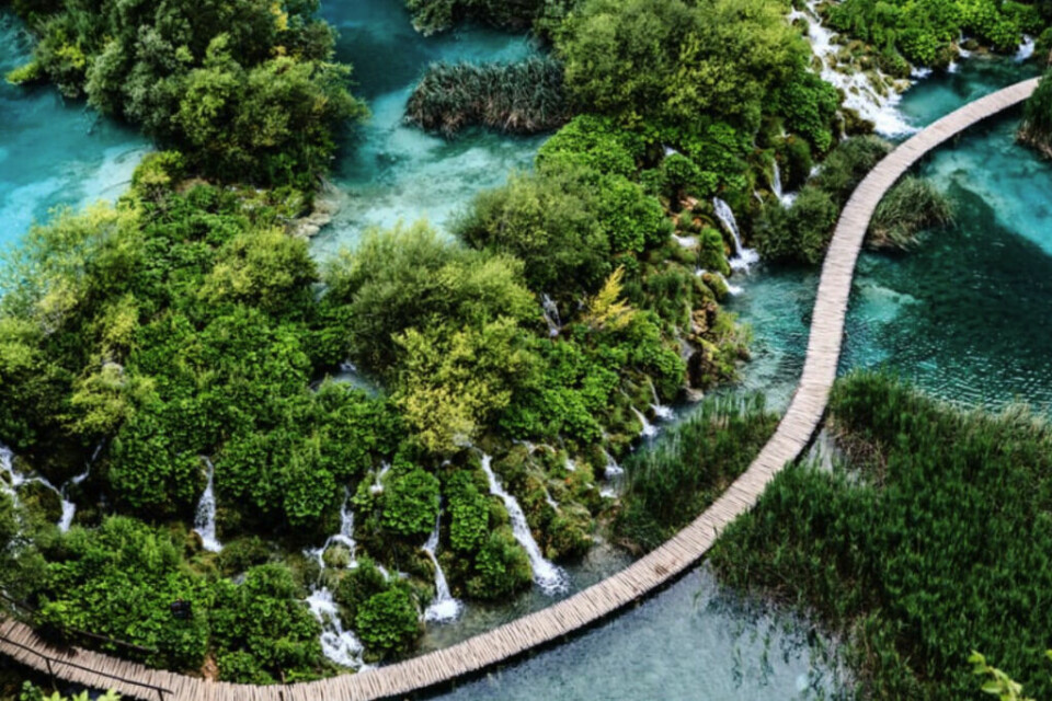 Besøk Plitvice Lakes nasjonalpark og opplev nydelig natur, flotte fosser og krystallklart hav. Med restplasser til Kroatia trenger ikke reisen bli så dyr. (Foto: Canva) Bildet viser den spektakulære Plitvice Lakes nasjonalpark i Kroatia, kjent for sine smaragdgrønne innsjøer, fosser og frodige omgivelser. En svingete trebrosti snirkler seg gjennom det krystallklare vannet, omgitt av tett grønn vegetasjon og små fossefall som renner ned i innsjøene.Den varierende blå og turkise fargen på vannet, kombinert med de grønne plantene og fossenes hvite skum, skaper et eventyrlig og nesten magisk landskap. Plitvice er en av Kroatias mest populære naturattraksjoner og er oppført på UNESCOs verdensarvliste.Dette er et paradis for naturelskere, fotografer og eventyrlystne reisende som ønsker å oppleve uberørt skjønnhet i hjertet av Kroatia.Restplass til Kroatia er en fin og enkel måte å sikre seg en billigere ferie på. Her finner du billig reise til Split, Dubrovnik