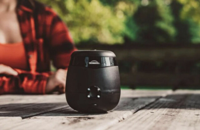 Hold mygg og knott unna i sommer: Dette er produktene som faktisk fungerer