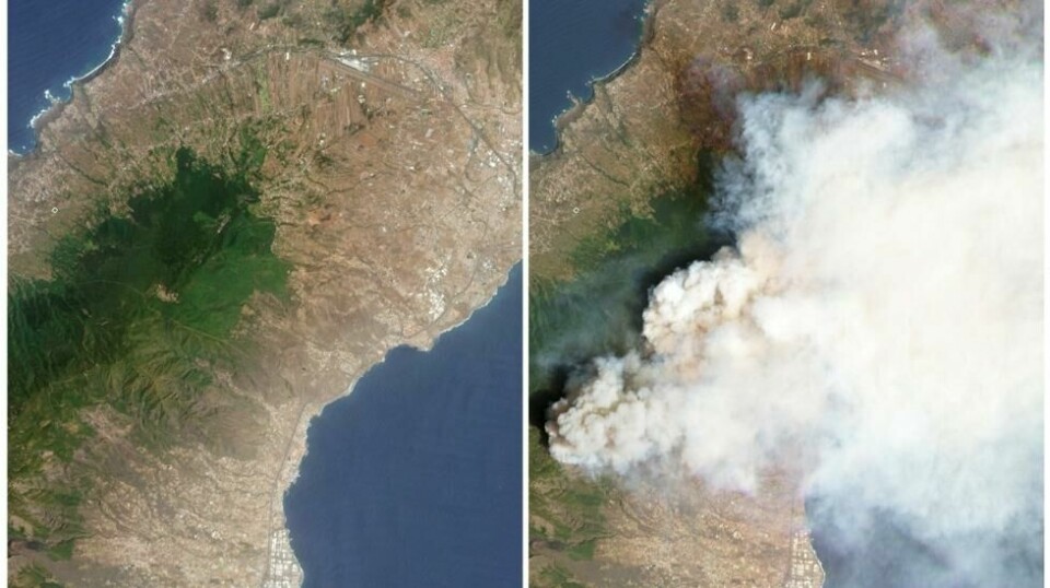Satellittbildene tatt med tre dagers mellomrom, illustrerer hvor store områder som er rammet av skogbrannene på Tenerife. Bildet til venstre er tatt søndag 13. august, og det til høyre onsdag 16. august.