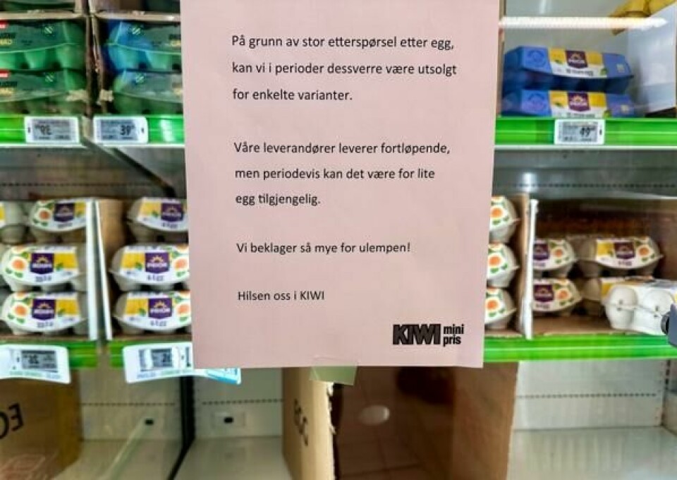 I desember i 2024 varslet Kiwi og andre dagligvarekjeder sine kunder om mulig eggmangel. Også i påsken i fjor var flere butikker skrapet for egg. I desember i 2024 varslet Kiwi og andre dagligvarekjeder sine kunder om mulig eggmangel. Også i påsken i fjor var flere butikker skrapet for egg. Foto: André Lorentsen / NTB