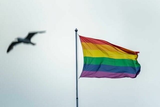 Alle prideflaggene i Volda og Ørsta ble revet ned natt til lørdag. Saken er anmeldt.