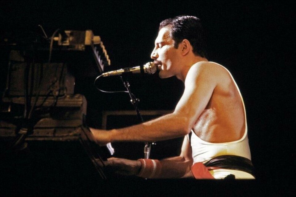 Rockeikon Freddie Mercury hadde angivelig god kontakt med sin datter frem til sin død i 1991. Her avbildet i 1984. Rockeikon Freddie Mercury hadde angivelig god kontakt med sin datter frem til sin død i 1991. Her avbildet i 1984. Foto: Jean-Claude Coutausse / AFP / NTB
