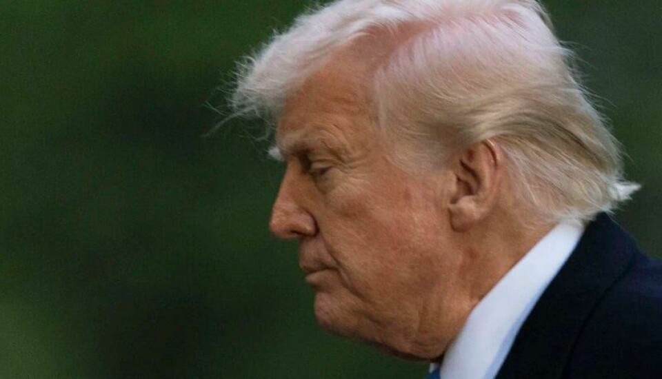– Hvis Trump får holde på i det stille og ingen mobiliserer mot ham, så går det galt, advarer Knutsen. – Hvis Trump får holde på i det stille og ingen mobiliserer mot ham, så går det galt, advarer Knutsen. Foto: Manuel Balce Ceneta/AP