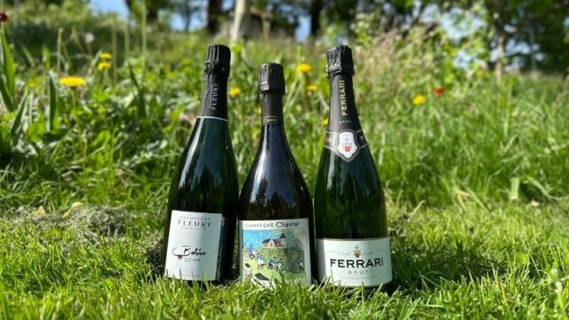 Mange gode kjøp er tilgjengelig i butikk om du er sent ute med bobler til 17. mai-feiringen.