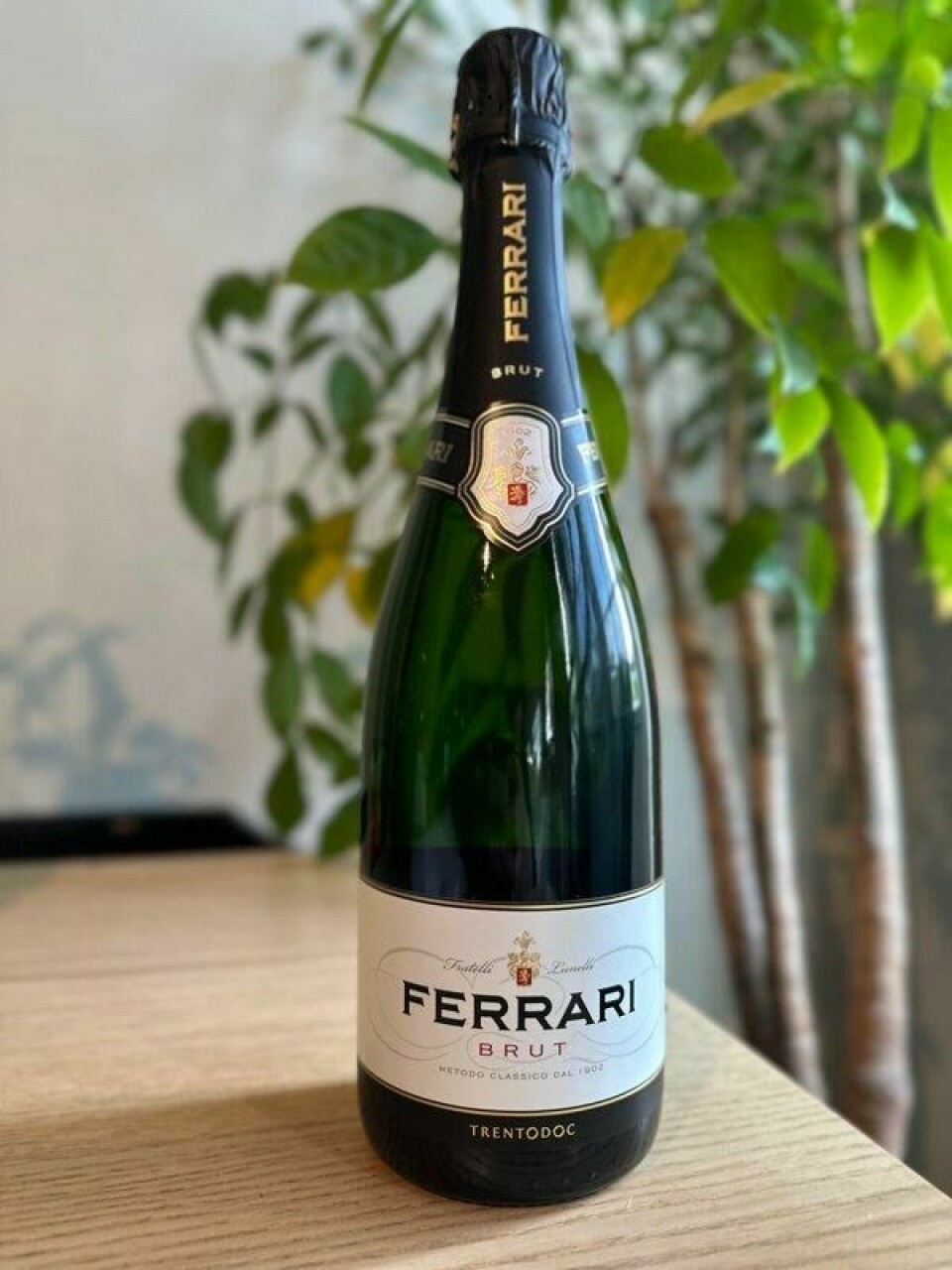 Ferrari Trento Brut leverer et av polets beste kjøp på musserende i den lavere prisklassen. Ferrari Trento Brut leverer et av polets beste kjøp på musserende i den lavere prisklassen. Foto: Ole S. Berg / Finansavisen
