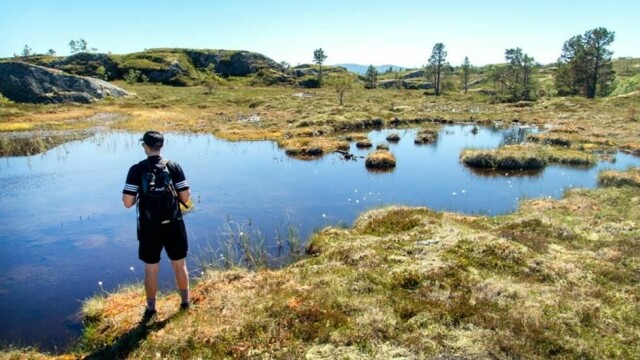 Myr holder og lagrer store mengder karbon. En kartlegging viser at norske kommuner har planer for utbygging av over 200 kvadratkilometer myrområde.