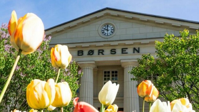 Tulipanene blomstrer foran Oslo Børs, mens hovedindeksen visnet og gikk ned med 0,44 prosent på ukens første handledag.
