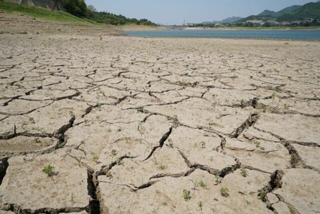 Sprekker går gjennom bunnen av Jinxiuchuan-reservoaret i den tørkerammede regionen, i Jinan, Shandong-provinsen, Kina. Bildet er fra 19. juni 2024. Nå meldes det om nye hetebølger med temperaturer over 40 grader. REUTERS/Nicoco Chan