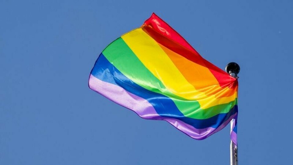 KrF vil at kun det norske, samiske og kvenske flagget skal tillates på offentlige skolers flaggstenger. KrF vil at kun det norske, samiske og kvenske flagget skal tillates på offentlige skolers flaggstenger. Foto: NTB