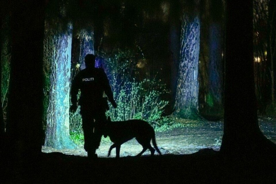 Politiet søker etter spor i området både med hund og med droner i luften i et skogholt ved Oppsal Arena. Politiet søker etter spor i området både med hund og med droner i luften i et skogholt ved Oppsal Arena. Foto: Fredrik Varfjell / NTB