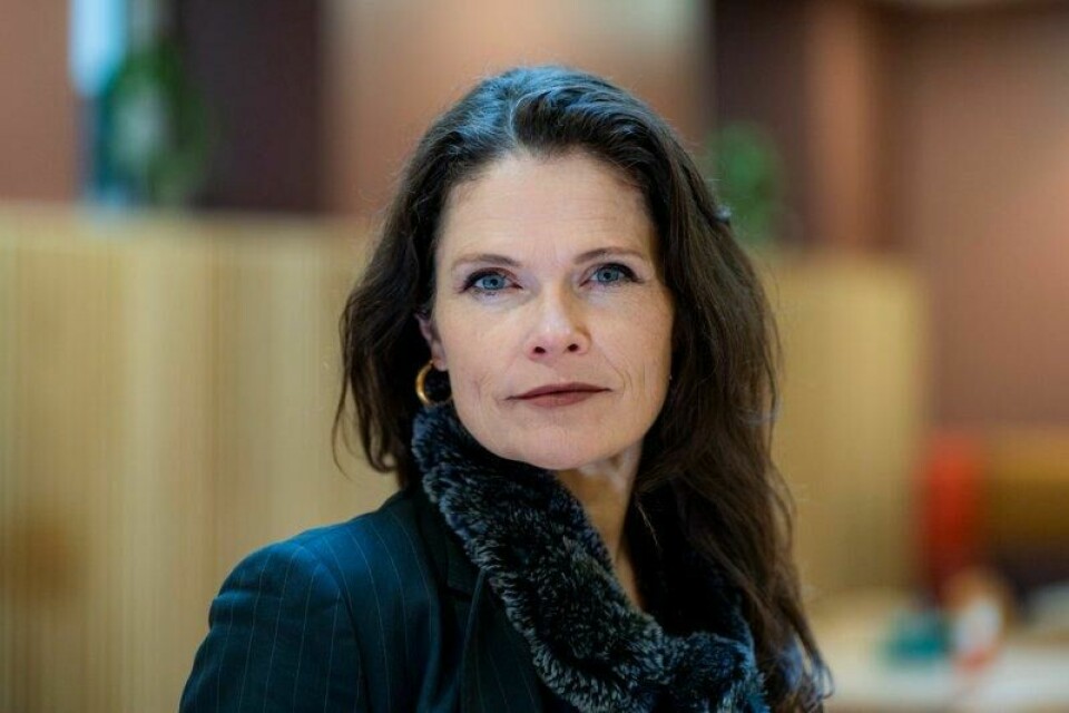 Den rettslige problemstillingen knyttet til hvorvidt det finner sted et folkemord i Gaza er nå i ferd med å endre seg, mener folkerettsekspert Cecilie Hellestveit. Den rettslige problemstillingen knyttet til hvorvidt det finner sted et folkemord i Gaza er nå i ferd med å endre seg, mener folkerettsekspert Cecilie Hellestveit. Foto: Håkon Mosvold Larsen / NTB