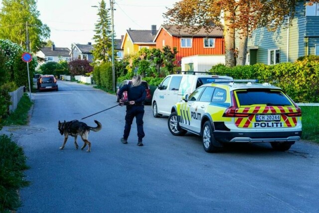 Politiets hundepatrulje leter etter gjenstanden som en gutt ble stukket med på Teisen i Oslo søndag kveld.
