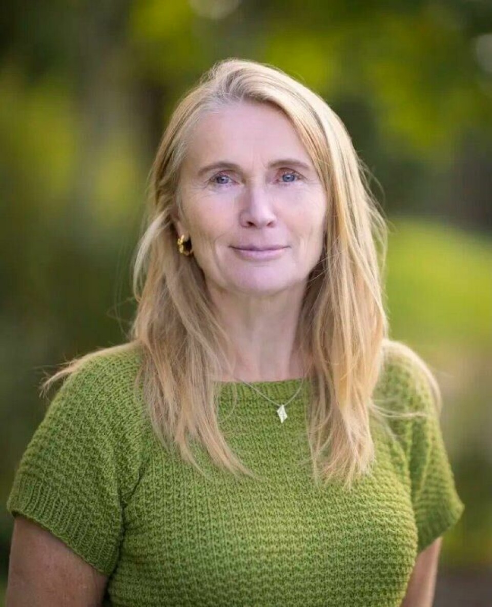 Trude Havik mener det er på høy tid at kommunene gir et bedre tilbud til foreldre med barn som vegrer seg for å gå på skolen. Trude Havik mener det er på høy tid at kommunene gir et bedre tilbud til foreldre med barn som vegrer seg for å gå på skolen. Foto: UiS