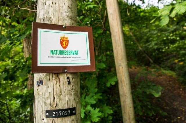Miljødirektoratet har sju forslag til opprettelse og utvidelse av naturreservat i tre ulike fylker.
