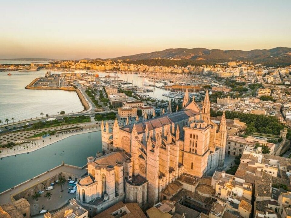 Bystyret i Palma de Mallorca har bestemt seg for å sette ned foten når det gjelder salg av falske varer på gaten. Bystyret i Palma de Mallorca har bestemt seg for å sette ned foten når det gjelder salg av falske varer på gaten. Foto: Yaroslav Syubayev / Shutterstock / NTB
