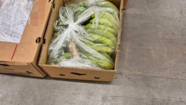 147 kilo kokain be funnet i banankasser hos Bama.