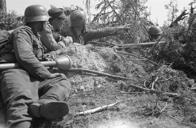 Finske soldater fra det 12. infanteriregiment, 6. infanteridivisjon, i posisjon, 7. juli 1944, Ihantala-området. Foto fra arkivet til de finske forsvarsstyrkene (SA-kuva)