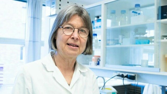 Neste gang noen spør Anne Spurkland om helvetesildvaksinen er nyttig, vil hun legge til at det ser ut til at den også virker mot demens.