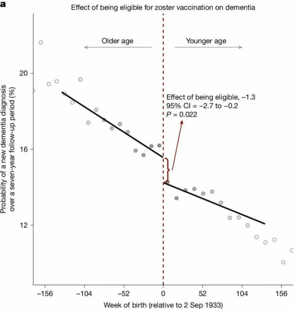 Økningen i demens går opp jo eldre du blir, men akkurat knyttet til cut-off datoen til helvetesildvaksinen, så er det et helt klart hopp i hele kurven. (Figur fra studien A natural experiment on the effect of herpes zoster vaccination on dementia, publisert i Nature) Økningen i demens går opp jo eldre du blir, men akkurat knyttet til cut-off datoen til helvetesildvaksinen, så er det et helt klart hopp i hele kurven. (Figur fra studien A natural experiment on the effect of herpes zoster vaccination on dementia, publisert i Nature)