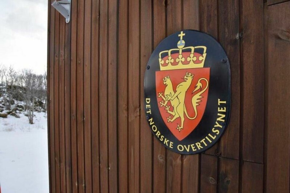 – Formynderstaten har gått for langt på enkelte områder. – Formynderstaten har gått for langt på enkelte områder. Foto: Anders Horntvedt / Finansavisen