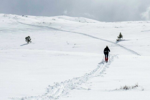 Mange er på tur i skog og fjell i påskehøytiden, og det øker sjansen for å finne spennende spor fra de store rovdyrene. Her fra Sødorpfjellet i Gudbrandsdalen i påskeuka 2017.