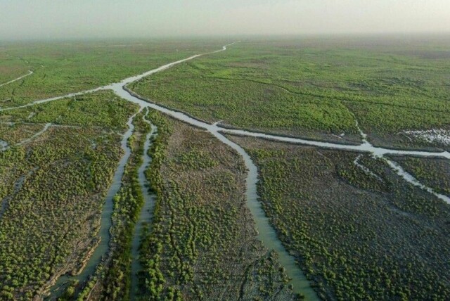 Iraks vannreserver er på sitt laveste nivå på 80 år. Her fra våtmarken i Nasiriyah rundt elven Eufrat i fjor sommer. Arkivfoto: Nabil al-Jurani / AP / NTB
