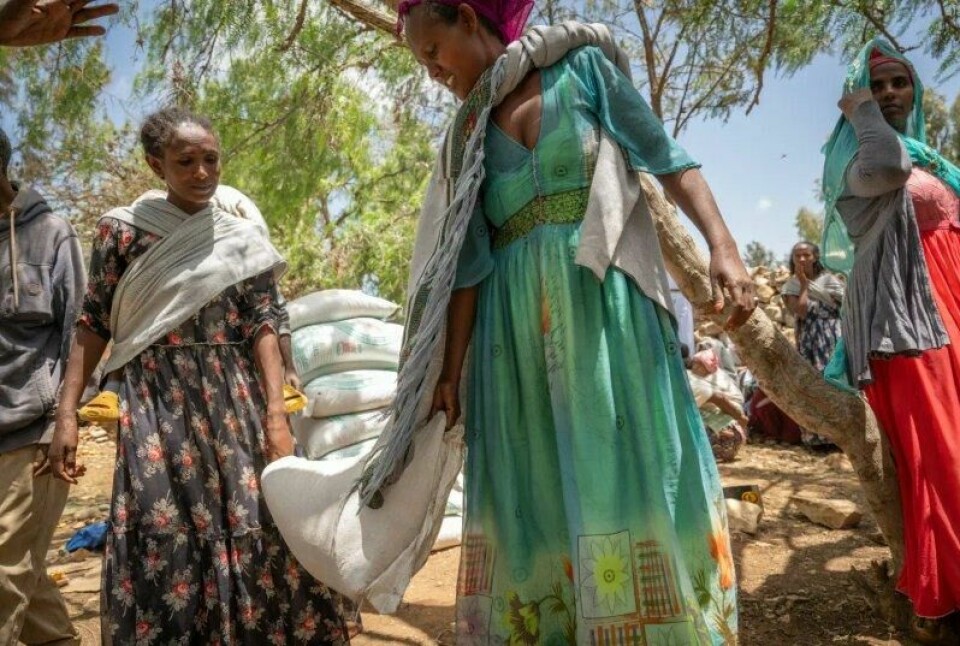 Kirkens Nødhjelps lokale partner Mekane Yesus organiserer humanitærhjelp under tørken i Tigray, Etiopia i 2024. KN-partneren deler her ut såfrø og redskaper for å forhindre sult i kommende sesong. Kirkens Nødhjelps lokale partner Mekane Yesus organiserer humanitærhjelp under tørken i Tigray, Etiopia i 2024. KN-partneren deler her ut såfrø og redskaper for å forhindre sult i kommende sesong. Foto: Håvard Bjelland / Kirkens Nødhjelp