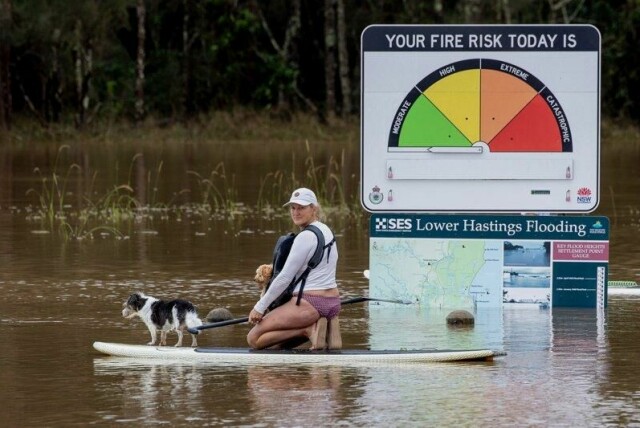 En kvinne på padletur med hunden sin på flomvann i Port Macquarie.