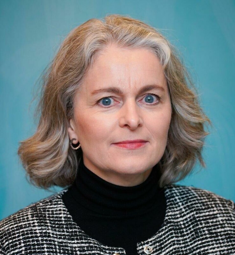 Torunn Tryggestad, nestleder ved Prio og leder for forskningsinstituttets senter for kvinner, fred og sikkerhet. Torunn Tryggestad, nestleder ved Prio og leder for forskningsinstituttets senter for kvinner, fred og sikkerhet. Foto: Prio