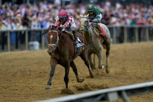 Journalism, med jockey Umberto Rispoli, på vei mot seier i galoppklassikeren Preakness Stakes i Baltimore.