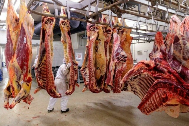 Det er behov for å supplere det norske markedet med storfe i uke 20 og 21 på grunn av bedre salg enn forventet, tomme lagre og forsinket import. Derfor settes importsatsen for storfekjøtt ned i to uker.