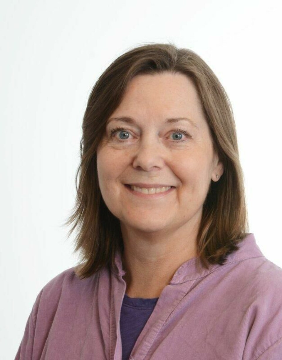 Elin-Sofie Nesje Vestli er professor ved Høgskolen i Østfold og Tyskland-kjenner. Elin-Sofie Nesje Vestli er professor ved Høgskolen i Østfold og Tyskland-kjenner. Foto: Høgskolen i Østfold