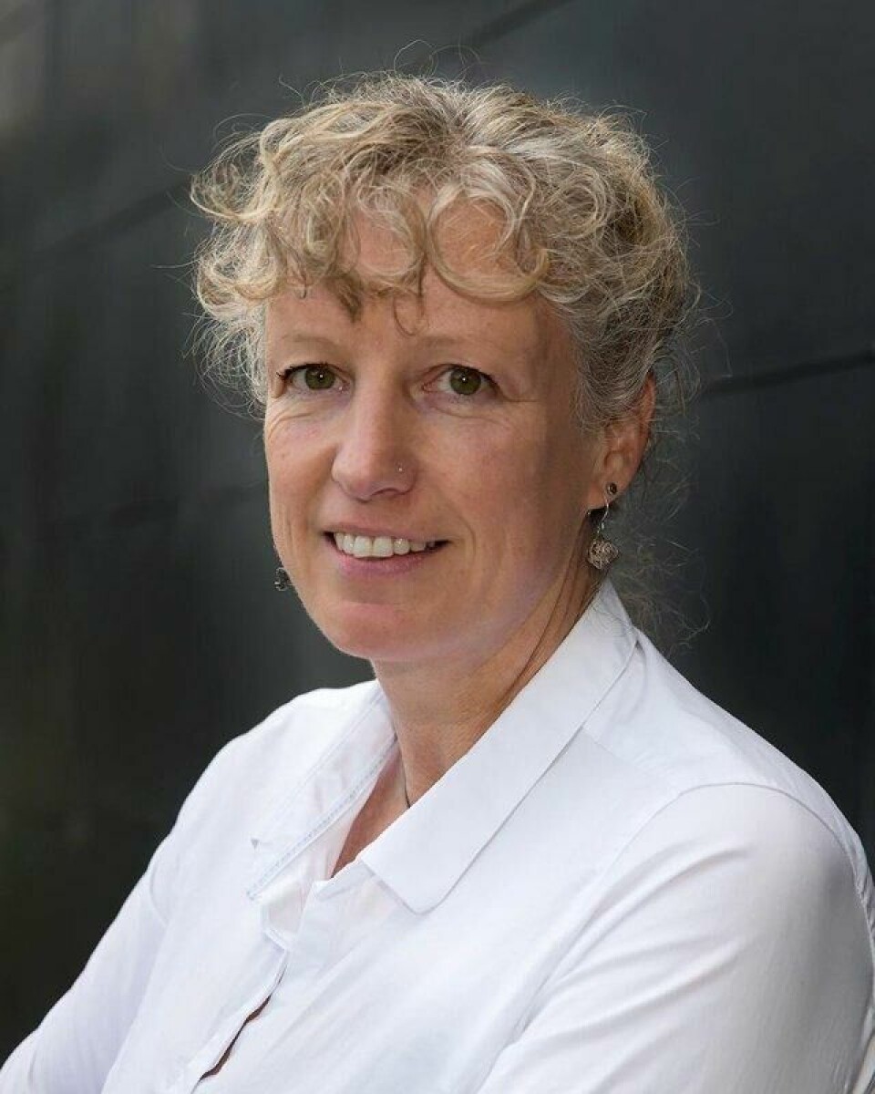 Professor i sikkerhet og geopolitikk ved UiT, Gunhild Hoogensen Gjørv. Professor i sikkerhet og geopolitikk ved UiT, Gunhild Hoogensen Gjørv. Foto: UiT