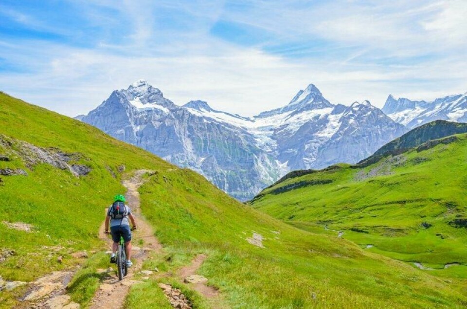Sykkelturismen øker i Sveits pga enkel og gratis logistikk. Her med utsikt over Jungfraufjellene. Sykkelturismen øker i Sveits pga enkel og gratis logistikk. Her med utsikt over Jungfraufjellene. Foto: Shutterstock / NTB