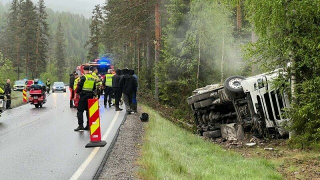 Et vogntog med 28 kyr veltet i Gransheradvegen i Notodden kommune søndag ettermiddag.