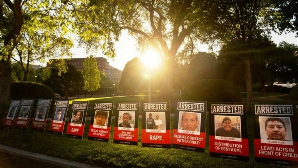 Slik markerte Trump 100 dager ved makten. 100 plakater og bilder av det de omtaler som «100 ulovlige innvandrerkriminelle». Slik markerte Trump 100 dager ved makten. 100 plakater og bilder av det de omtaler som «100 ulovlige innvandrerkriminelle». Foto: Mark Schiefelbein / AP / NTB