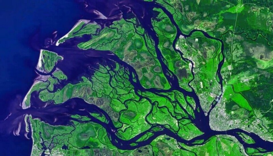 Et typisk elvedelta på jorden. Et typisk elvedelta på jorden. Foto: Nasa Best-Backgrounds / Shutterstock / NTB)