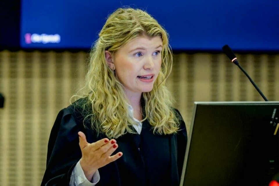 Forsvarer Celine Krogh Fornes mener aktoratet overspiller DNA-bevisets betydning i Baneheia-saken. Forsvarer Celine Krogh Fornes mener aktoratet overspiller DNA-bevisets betydning i Baneheia-saken. Foto: Paul S. Amundsen / NTB