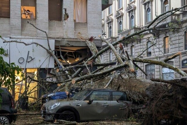 Et tre falt ned i Milano, der det torsdag var kraftig vind og regn.