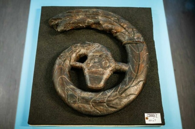 Det originale ormehodet fra Osebergskipet har aldri før vært utstilt – før nå. 21. juni kan man se det ikoniske vikingsymbolet med egne øyne på Historisk museum i Oslo.