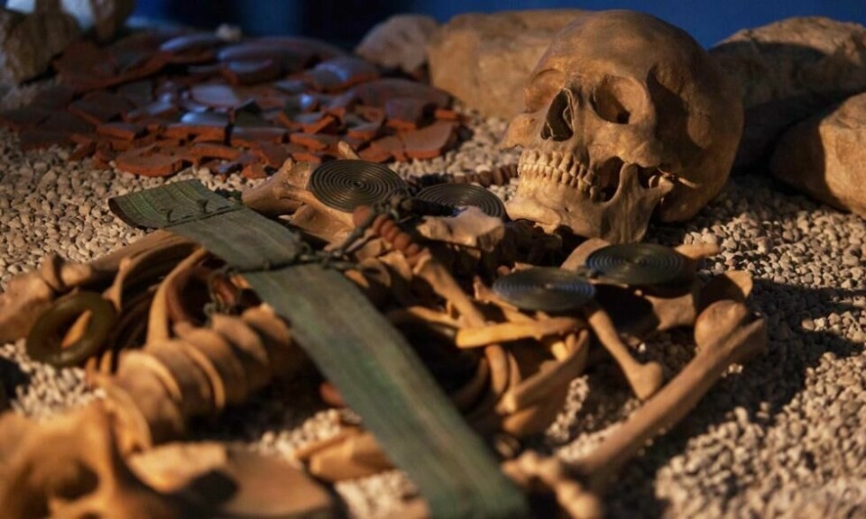 Nesten samtlige lik som funnet i gruvens nekropolis, er ikledd dyre og eksklusive bronseornamenter som vitner om et svært rikt samfunn. Foto: Alex Halada/AFP Nesten samtlige lik som funnet i gruvens nekropolis, er ikledd dyre og eksklusive bronseornamenter som vitner om et svært rikt samfunn. Foto: Alex Halada/AFP
