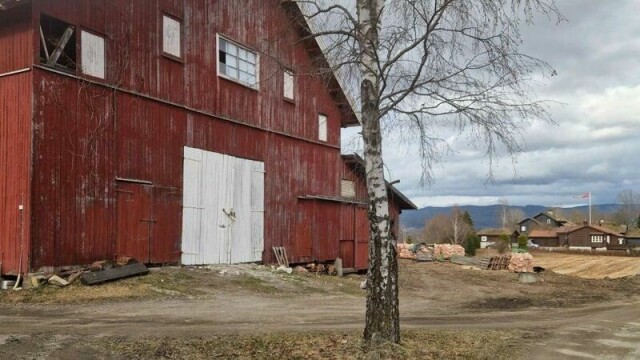 Mellom bjørka og låveveggen lå en viking begravd i en båt.