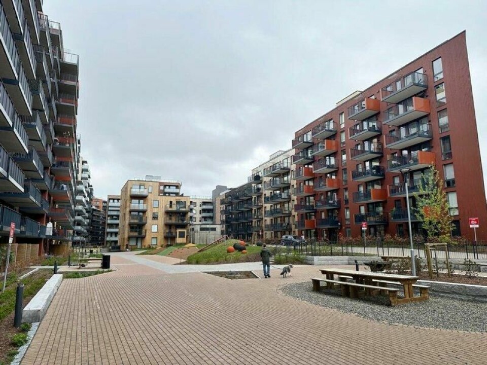 Man kan skimte noen gresstuster og et nyplantet tre i gårdsrommet til Lørenskog Hageby. Man kan skimte noen gresstuster og et nyplantet tre i gårdsrommet til Lørenskog Hageby. Foto: Gard Setsaas / Kapital