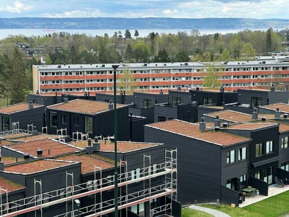 Solon står bak «Edelløv Hageby» på Borgen i Asker. Tegnet av Hille Melbye arkitekter. Solon står bak «Edelløv Hageby» på Borgen i Asker. Tegnet av Hille Melbye arkitekter. Foto: Gard Setsaas / Kapital