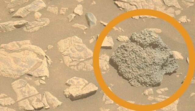 Steinen ligner ikke noe annet i nærheten, ifølge Nasa.