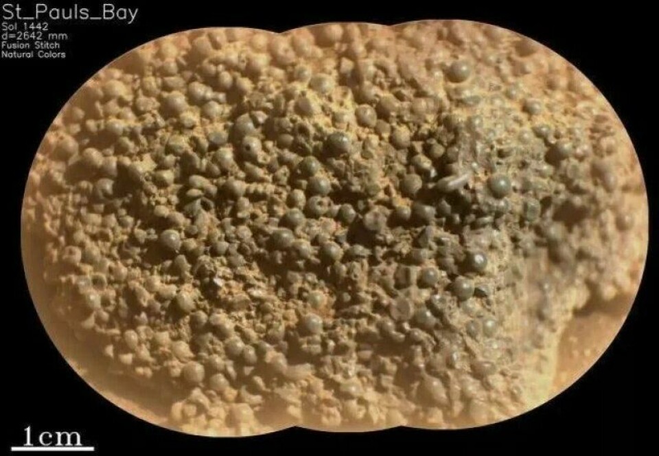 Forskeren har gitt den kulefylte steinen navnet St. Pauls Bay. Forskeren har gitt den kulefylte steinen navnet St. Pauls Bay. Foto: Nasa/JPL-Caltech/LANL/CNES/IRAP