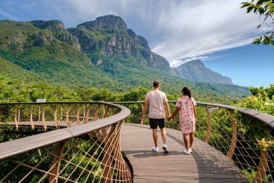 Ved foten av Table Mountain ligger Kirstenbosch – en av verdens vakreste botaniske hager, ifølge Dahlback. Ved foten av Table Mountain ligger Kirstenbosch – en av verdens vakreste botaniske hager, ifølge Dahlback. Foto: Shutterstock / NTB