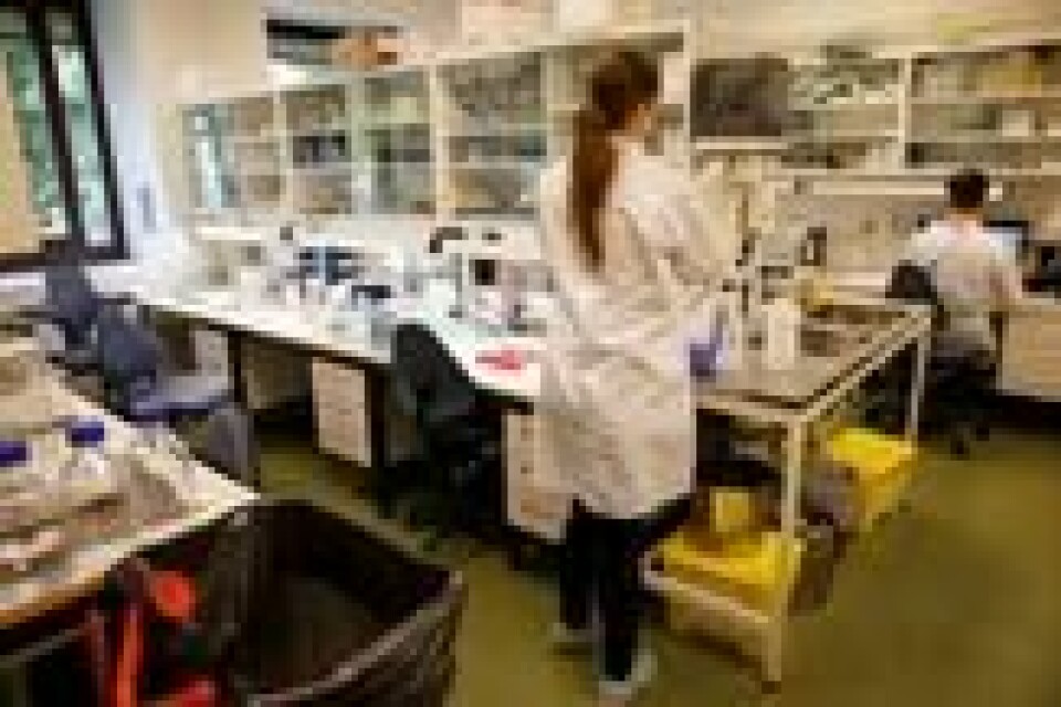 Studie av antibiotikaresistente bakterier ved Veterinærinstituttet i Oslo. Arkivfoto fra 2016. Studie av antibiotikaresistente bakterier ved Veterinærinstituttet i Oslo. Arkivfoto fra 2016. Foto: Cornelius Poppe / NTB scanpix