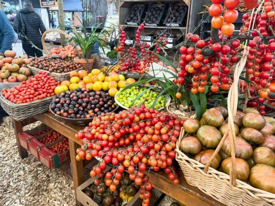 Oranjezicht City Farm Market er et populært bondemarked i Cape Town, kjent for sitt fokus på lokale råvarer og bærekraftige produkter. Oranjezicht City Farm Market er et populært bondemarked i Cape Town, kjent for sitt fokus på lokale råvarer og bærekraftige produkter. Foto: Shutterstock / NTB