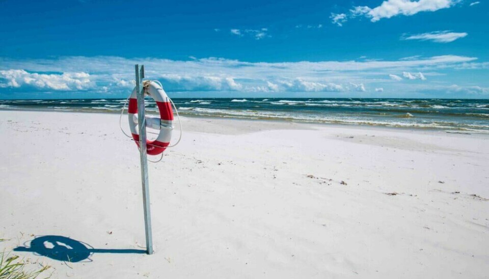 Dueodde, the white sandy beach on the south coast of Bornholm, Denmark